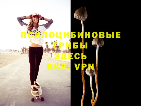 ешки Богданович