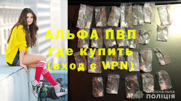 эйфоретик Богородск