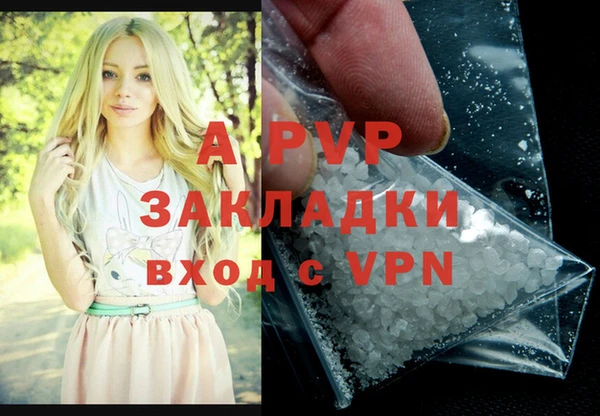 ешки Богданович