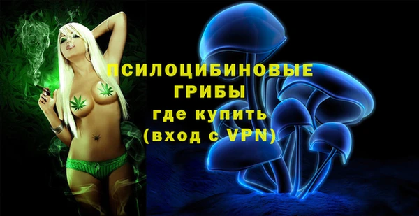 ешки Богданович