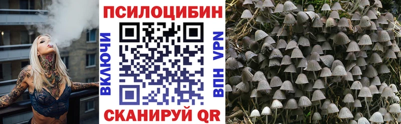 Галлюциногенные грибы MAGIC MUSHROOMS  Михайлов 