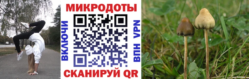 Псилоцибиновые грибы Magic Shrooms Михайлов