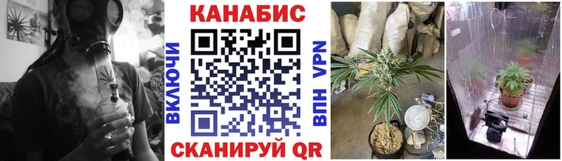 Бошки Шишки ГИДРОПОН  где купить   Михайлов 